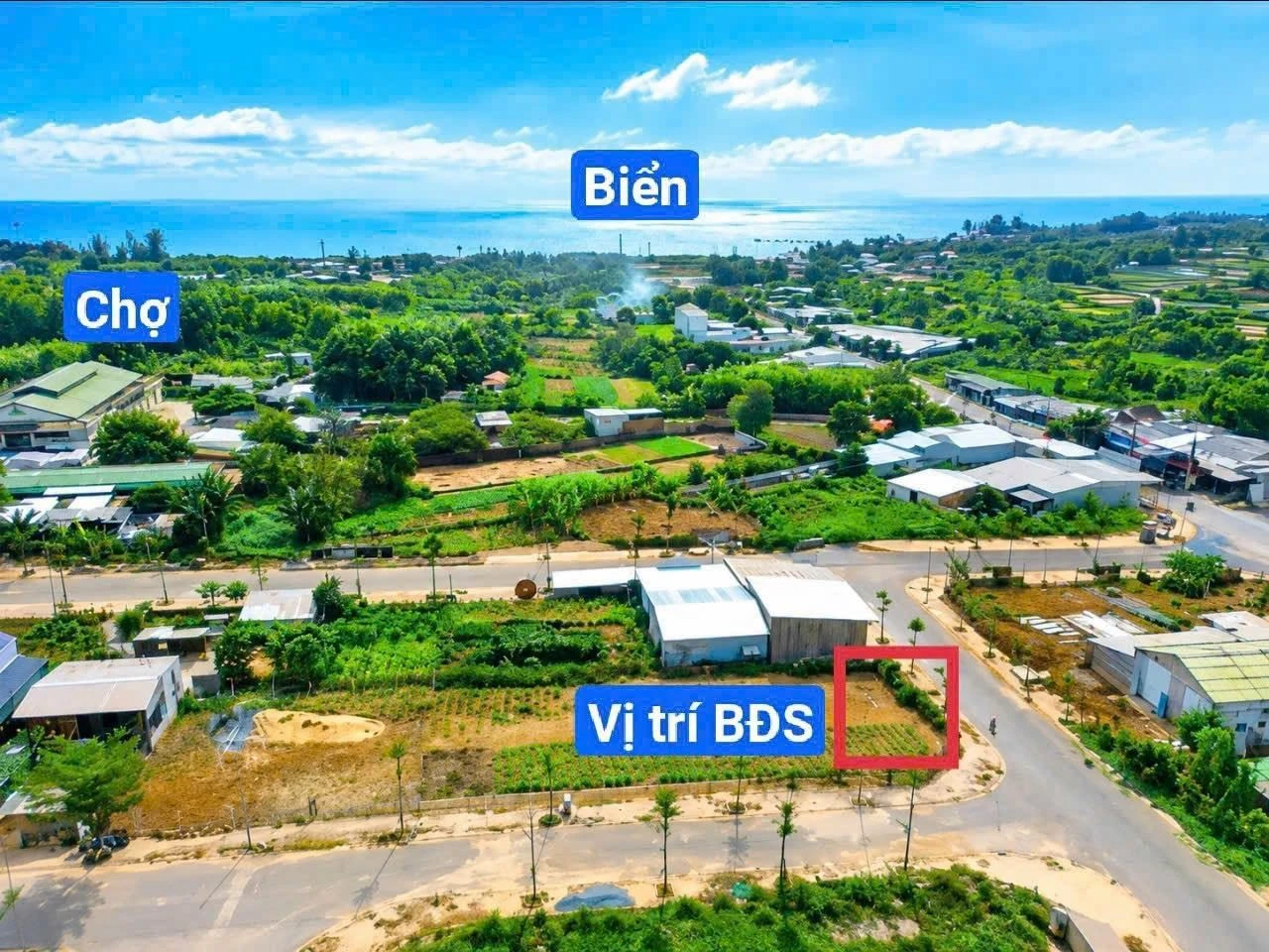 Bán đất 251m2 Bình Hải, Vũng Tàu - 2.59 tỷ - Ảnh 1
