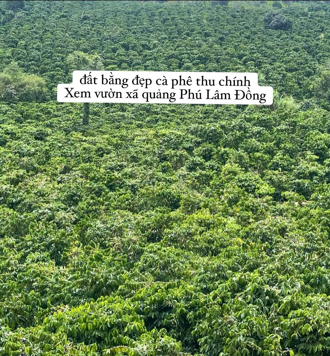 Bán đất 2,5 hecta có sổ tại Quảng Phú, Lâm Đồng - Ảnh 1