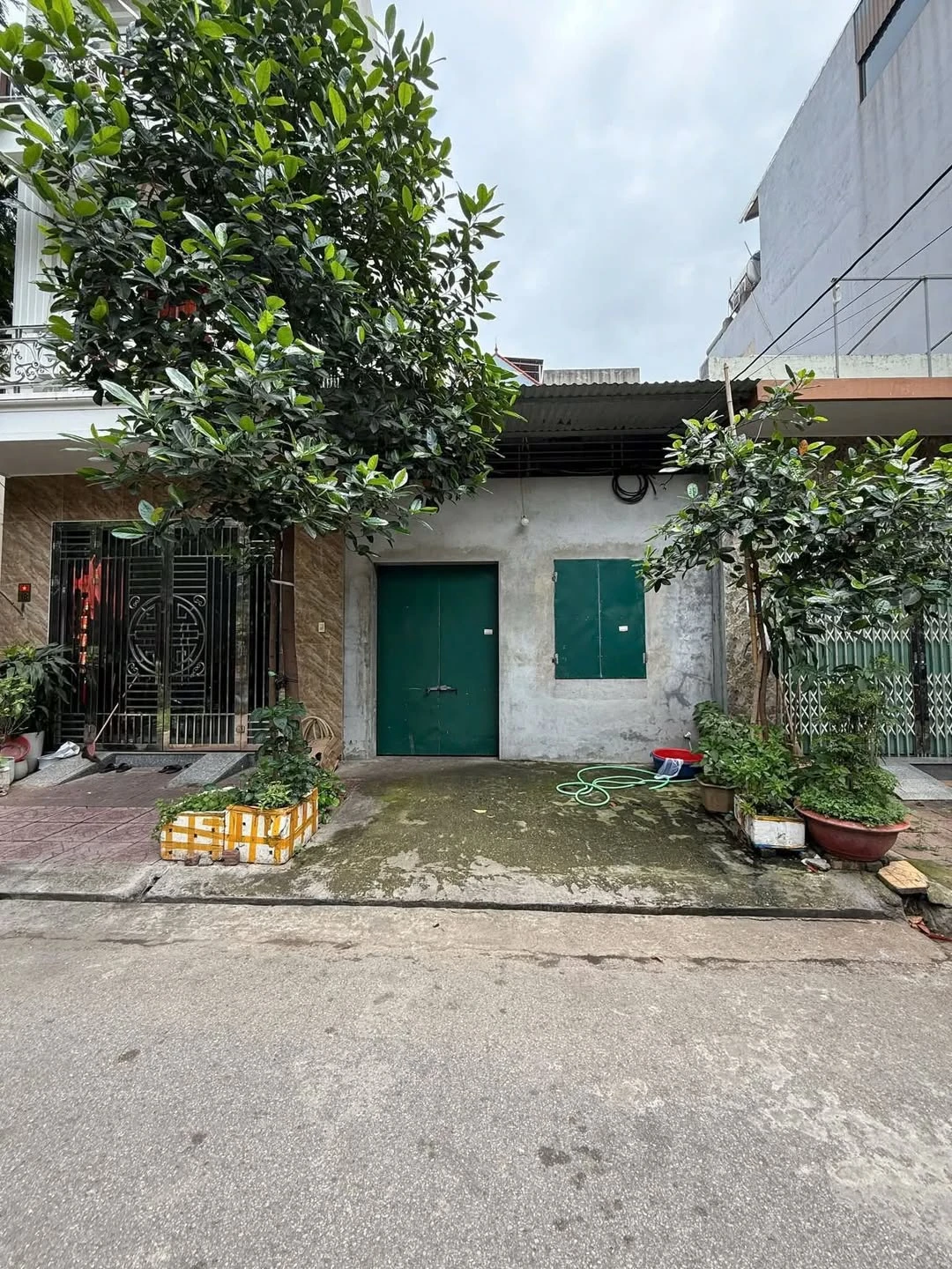 Bán lô đất 67m2 tặng nhà cấp 4 Thân Công Tài Bắc Ninh - Ảnh 1