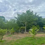 Bán 3.208m đất TMDV trung tâm Ninh Hòa vị trí đẹp, giá 6,5 triệu/m - Ảnh thu nhỏ 8
