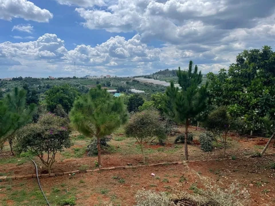 Bán đất 600m² Nam Ban Mê Linh cũ 1 tỷ 3 - Ảnh thu nhỏ 2