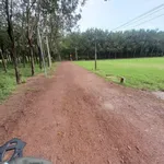 Bán đất Tây Ninh 50m2 giá 219 triệu - Ảnh thu nhỏ 1
