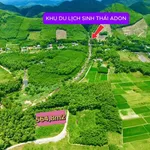 Bán đất trồng cây lâu năm 565m2 giáp đường tại Suối A Don, Phong Điền, Huế - Ảnh thu nhỏ 2