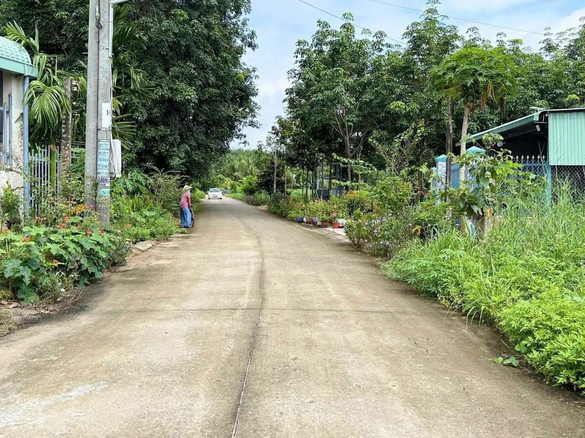 Bán đất mặt tiền đường Bau Nhà Bè 80m² 1 tỷ 450 triệu - Ảnh thu nhỏ 3