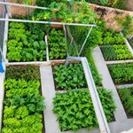 Bán nhà 2 tầng full nội thất 110m² 1,3 tỷ Bình Tân - Ảnh thu nhỏ 2