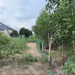 Bán lô đất cây lâu năm 224 m2 giá 39 triệu tại phường Phong Điền, Huế - Ảnh thu nhỏ 4