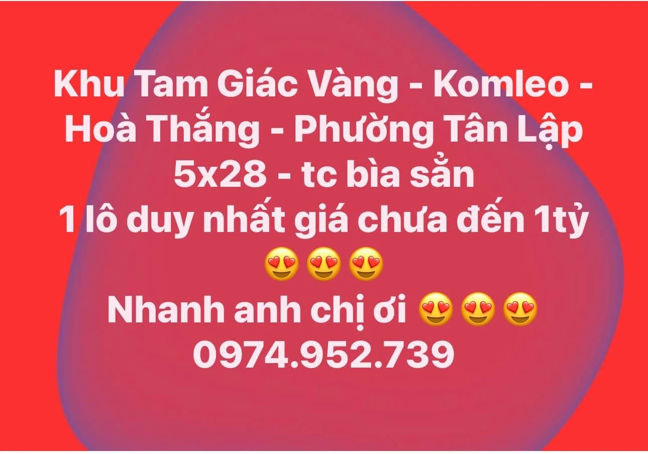 Bán đất 5x28m Tam Giác Vàng Phường Tân Lập, Bình Chánh - Ảnh 1