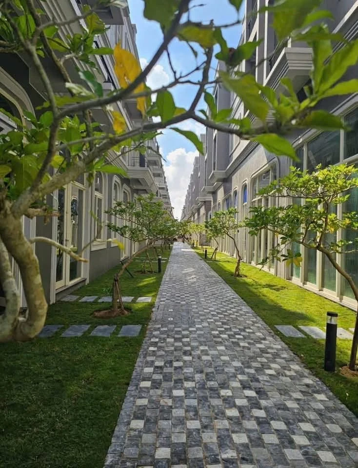 Bán nhà phố Đại lộ Hùng Vương 108m2, 6.85 tỷ - Ảnh thu nhỏ 3