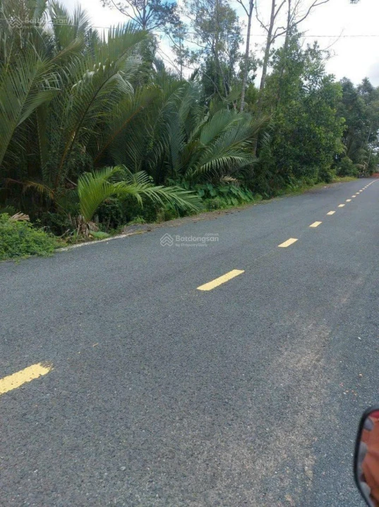 Chính chủ bán 19000m2, khu du lịch sinh thái Khóm cầu đúc, sẵn nhà, thổ cư, sổ hồng riêng - Ảnh thu nhỏ 4