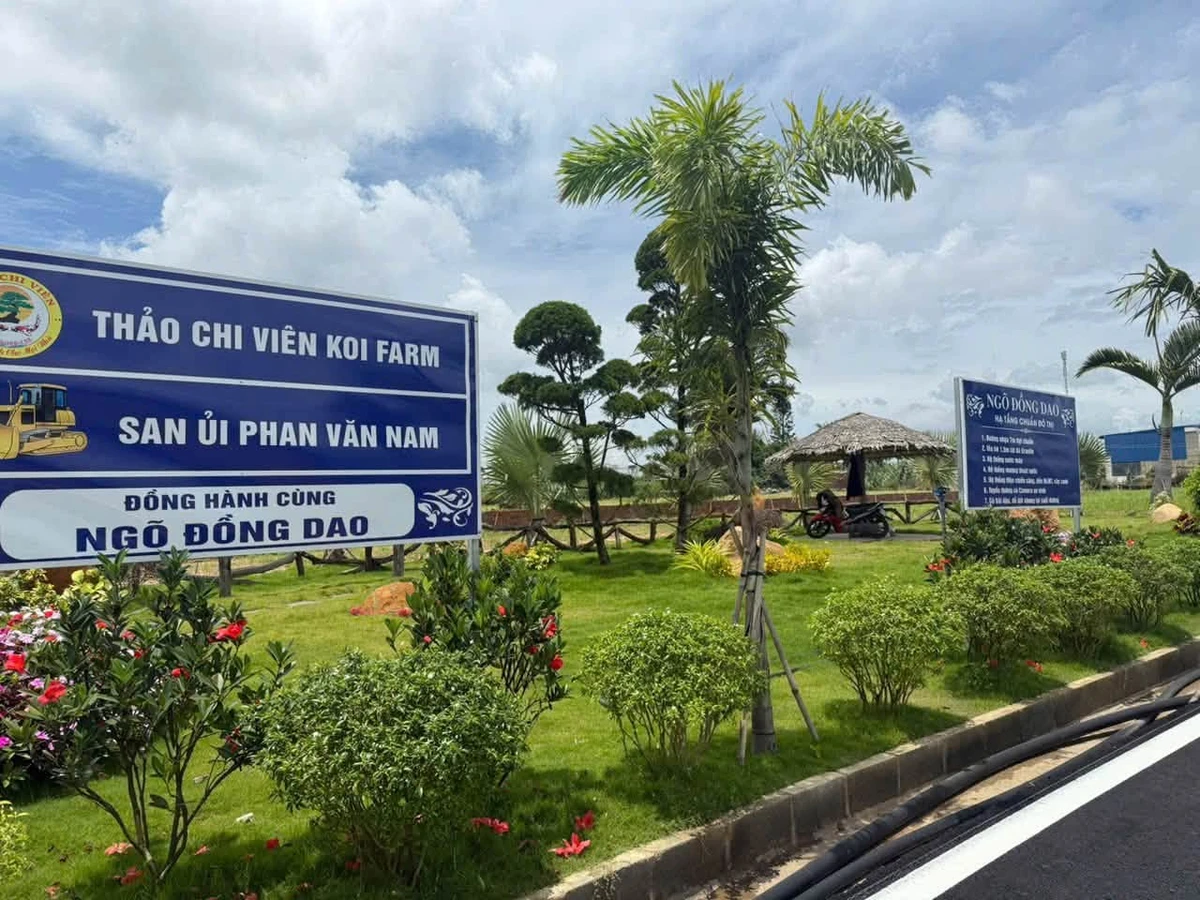 Bán lô đất 5x20 ngõ Đồng Dao hẻm Thống Nhất, Xã Đức Trọng, Lâm Đồng giá 1,35 tỷ - Ảnh thu nhỏ 2