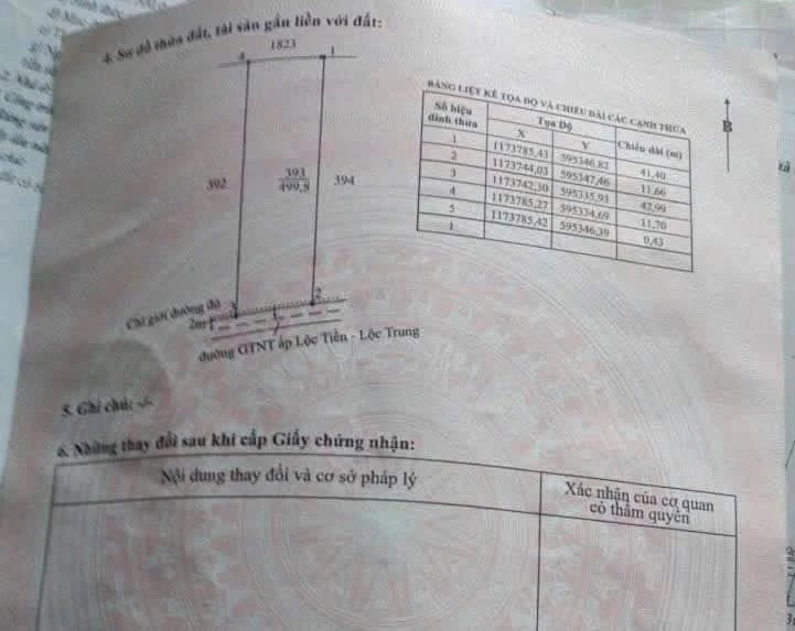 Bán đất vườn 430m² Cần Giờ, giá 1,65 tỷ - Ảnh thu nhỏ 3