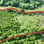 Bán lô đất 4300m² rẫy ôm suối Gia Lai - Ảnh thu nhỏ 1