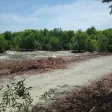 GIẢM SỐC CÒN 10 TỶ LÔ ĐẤT HƠN 4300M2 tại Trung tâm phường Lagi, cách biển 1km - Ảnh thu nhỏ 9