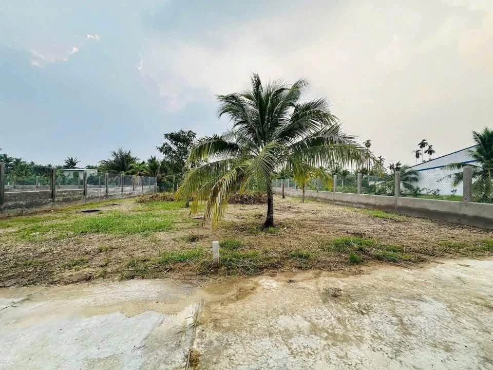 Bán nền biệt thự 704m² Phú Tân Bến Tre 2,7 tỷ - Ảnh thu nhỏ 2