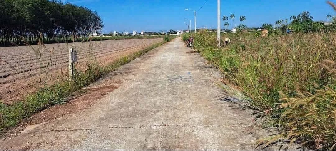 Bán đất 200m² gần QL14, KCN Becamex, Bình Dương 350 triệu - Ảnh 1