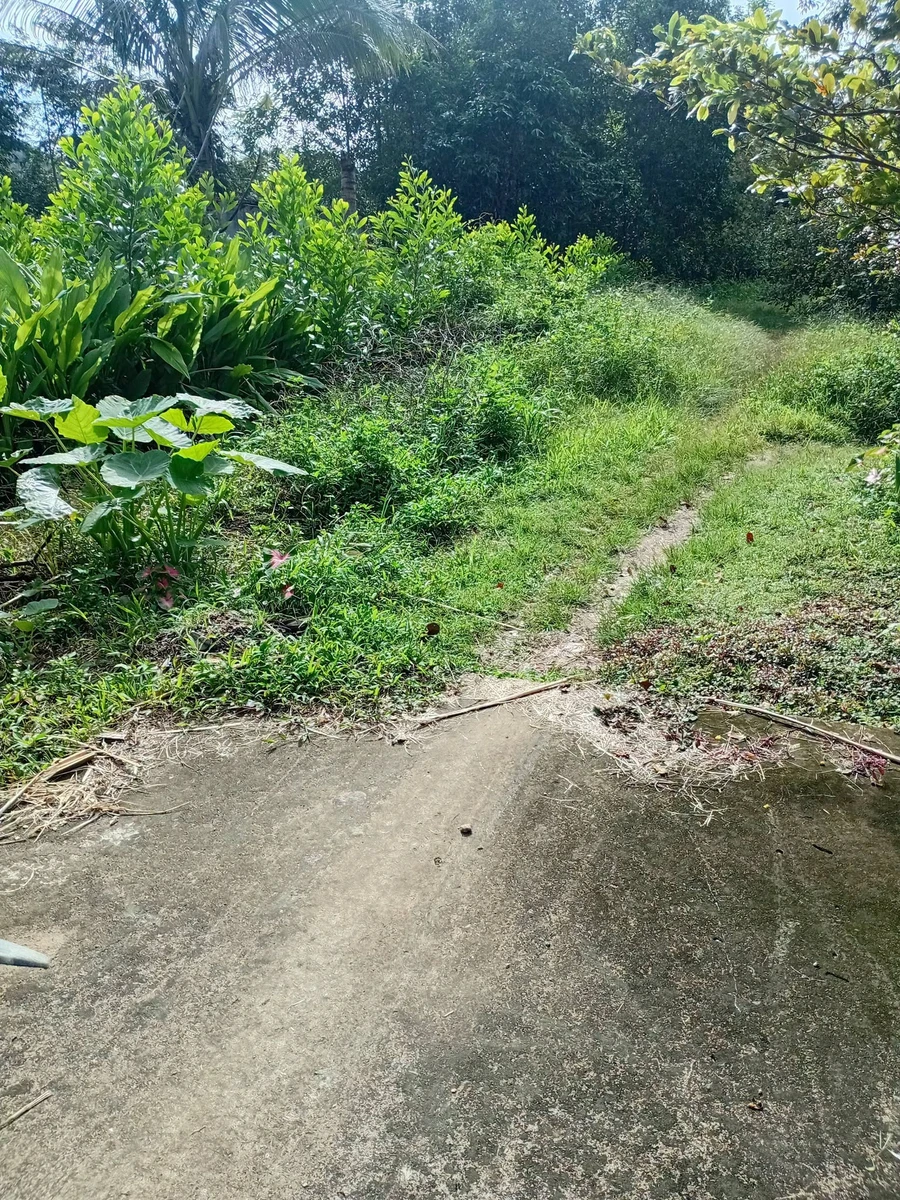 Bán lô đất thổ vườn có 300m2 thổ cư tại xã Nghị Đức, Tánh Linh, Lâm Đồng - Ảnh thu nhỏ 2