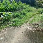 Bán lô đất thổ vườn có 300m2 thổ cư tại xã Nghị Đức, Tánh Linh, Lâm Đồng - Ảnh thu nhỏ 2