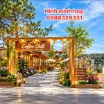 Bán đất 210m² Măng Đen, Phan Bội Châu - 7 tỷ, view rừng - Ảnh thu nhỏ 4