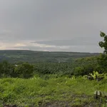 Bán đất vườn 1000m² La Ngà 575 triệu - Ảnh thu nhỏ 2