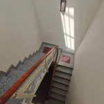 Cho thuê nhà 3 phòng ngủ Minh Phụng Quận 11, 35m², 15 triệu/tháng - Ảnh thu nhỏ 5