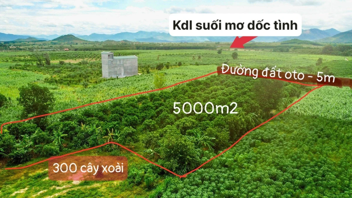 Bán đất vườn 5.000m² Khánh Hòa gần suối, sổ hồng - Ảnh thu nhỏ 4
