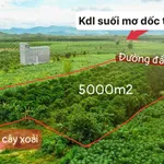 Bán đất vườn 5.000m² Khánh Hòa gần suối, sổ hồng - Ảnh thu nhỏ 4