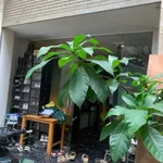 Cho thuê nhà phố cổ Hàng Đậu 30m2 5PN 5WC 16 triệu/tháng - Ảnh thu nhỏ 2