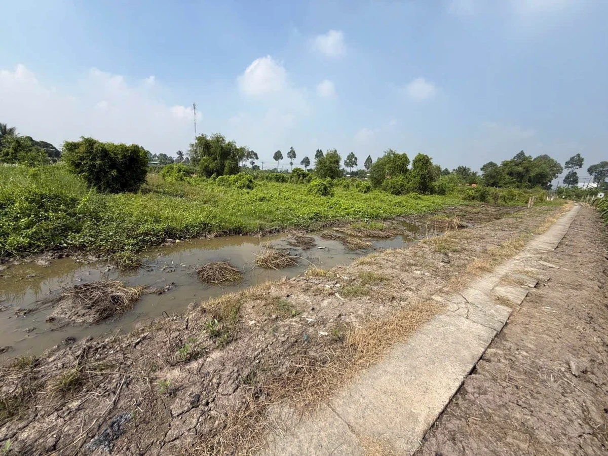 Bán 2400m² đất lúa sổ hồng Tây Ninh 750tr/1000m² - Ảnh thu nhỏ 2