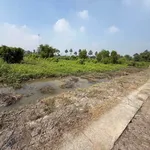 Bán 2400m² đất lúa sổ hồng Tây Ninh 750tr/1000m² - Ảnh thu nhỏ 2