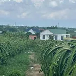 Bán đất vườn 5490 m² tại Phan Thiết, Lâm Đồng - Ảnh thu nhỏ 3