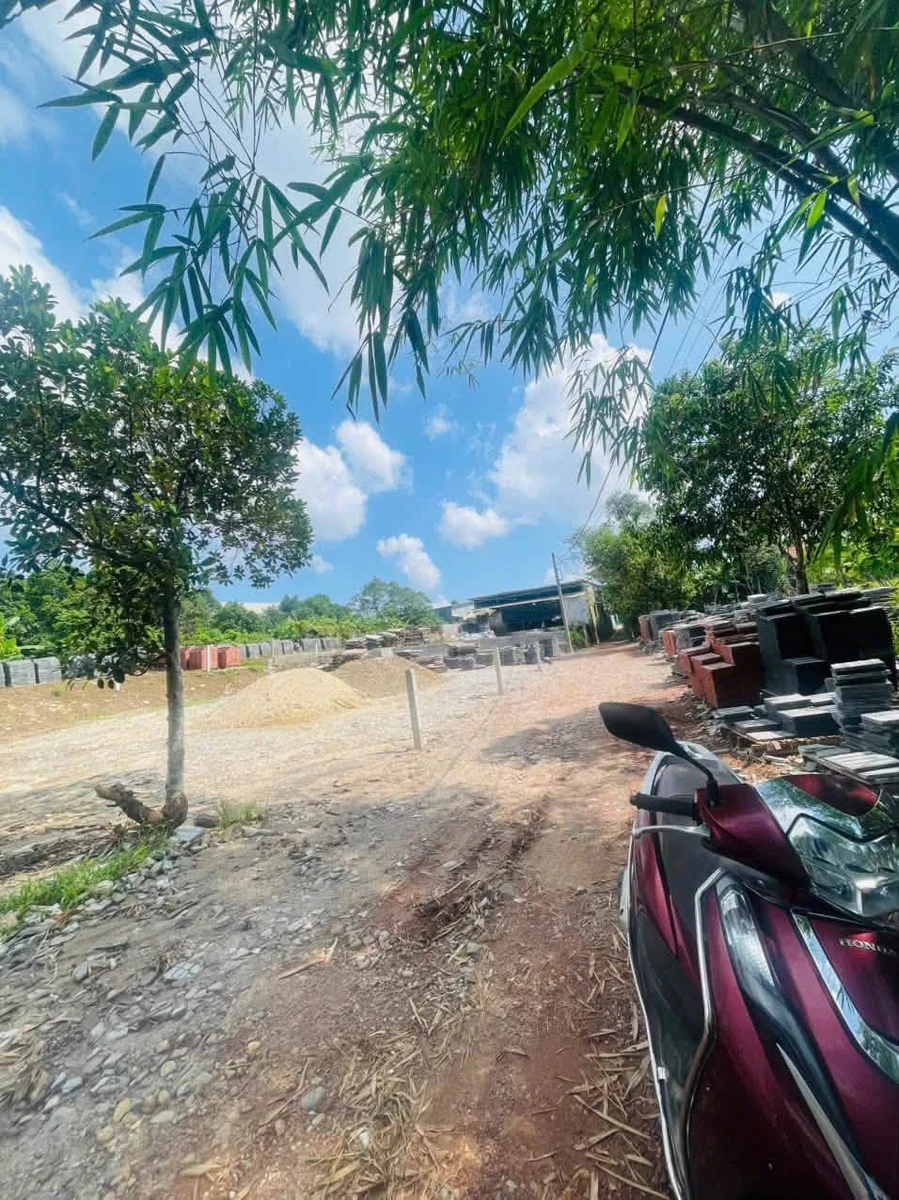 Bán đất Quận 7, 100m2, ngang 6m, 1 tỷ 4 triệu - Ảnh thu nhỏ 4