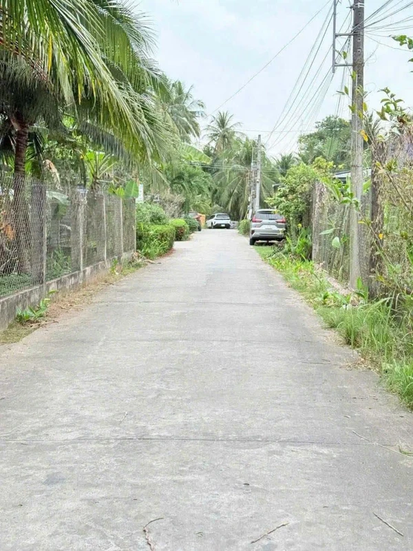 Bán nền mặt tiền 100m² An Hội, Bến Tre, 550 triệu