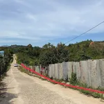 Bán đất Tân Lạc Bảo Lâm 2640m2 giá 1 tỷ 600 triệu - Ảnh thu nhỏ 1