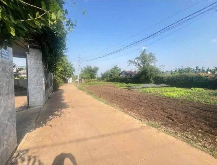 Bán đất Phường Thành Nhất 114m² giá 629 triệu - Ảnh thu nhỏ 3