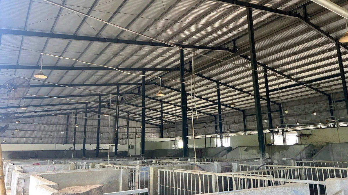 Bán nhà xưởng lò mổ gia cầm 28.000m2 Trảng Bom, Đồng Nai - Ảnh thu nhỏ 3