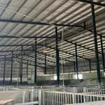 Bán nhà xưởng lò mổ gia cầm 28.000m2 Trảng Bom, Đồng Nai - Ảnh thu nhỏ 3