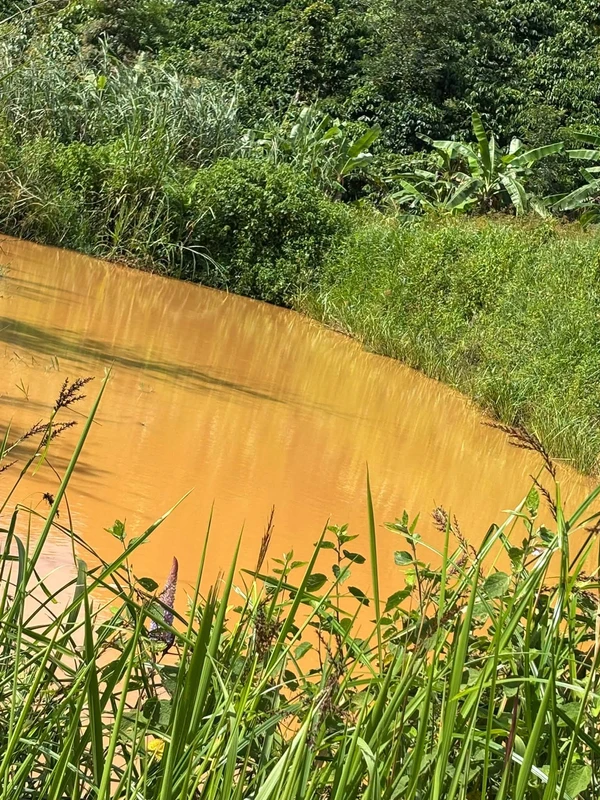 Bán 1,3 ha đất xã Đắk Ha 370 triệu