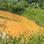 Bán 1,3 ha đất xã Đắk Ha 370 triệu - Ảnh thu nhỏ 1