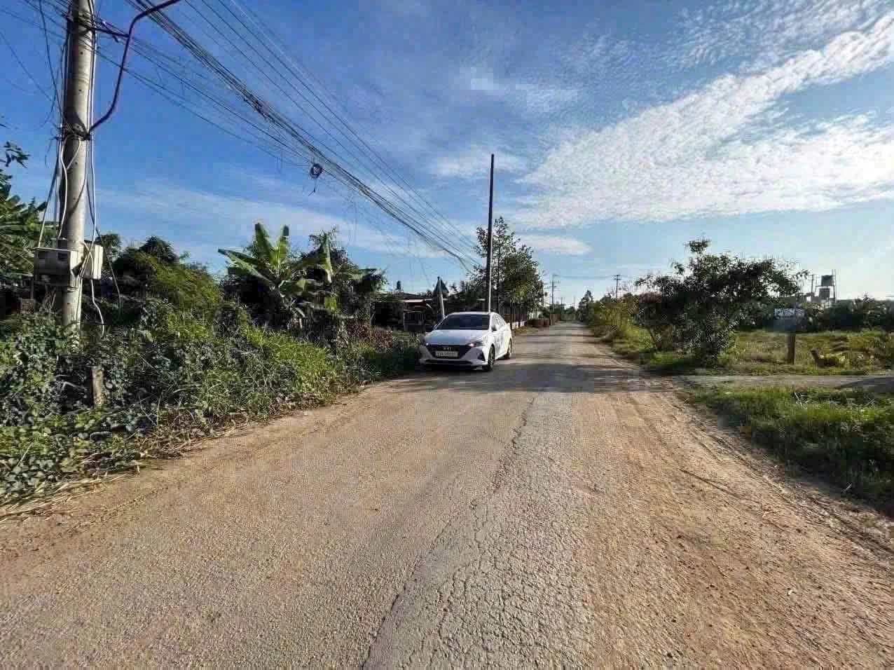 Bán lô đất thổ cư mặt tiền Đỗ Tường Tự, Tân An, Long An, 155m2, 1 tỷ 2 - Ảnh 1