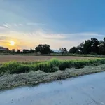 Bán đất cây trồng 1000m2 thôn 2 xã Hàm Liêm, Lâm Đồng giá 420 triệu - Ảnh thu nhỏ 1