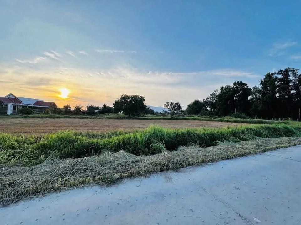 Bán đất cây trồng 1000m2 thôn 2 xã Hàm Liêm, Lâm Đồng giá 420 triệu - Ảnh 1