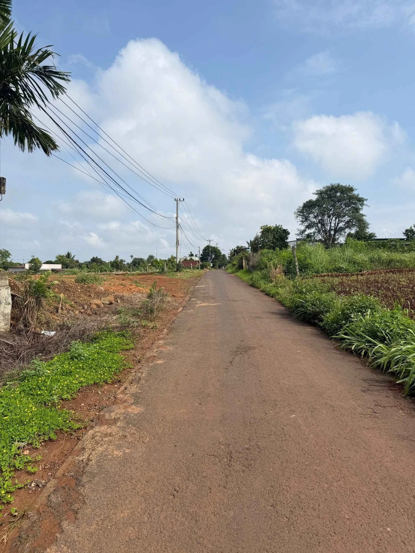 Bán lô nhà vườn 884m² view ao suối Phường Eakao, giá 2,1 tỷ - Ảnh 1