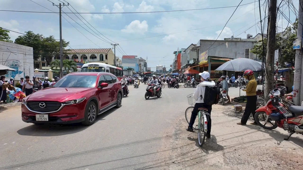 Bán 2 lô đất liền kề mặt tiền Hương Lộ 9, 250m², Đồng Nai - Ảnh thu nhỏ 5