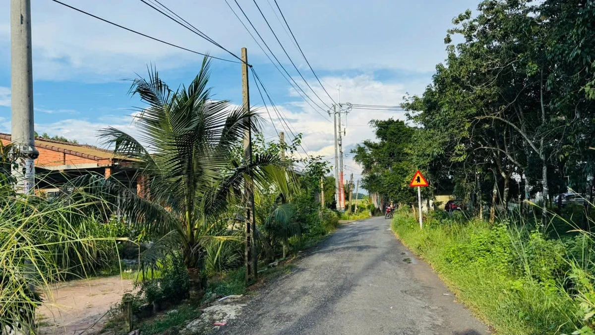 Bán đất mặt tiền đường nhựa 6,5×63m Tây Ninh 600 triệu - Ảnh thu nhỏ 5