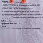 Bán đất mặt tiền Nguyễn Du Lâm Đồng 223m2, 2 tỷ - Ảnh thu nhỏ 1