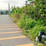 Bán lô đất 2 tỷ Phú An, Thủ Đức, HCM - Ảnh thu nhỏ 5