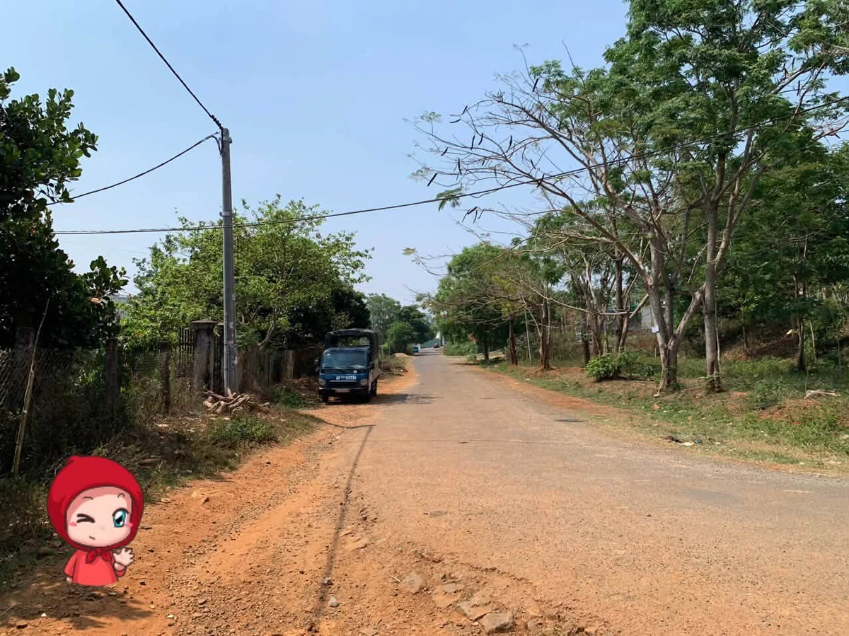 Bán đất mặt tiền Đặng Thuỳ Trâm Pleiku 270m² - 2 tỷ - Ảnh thu nhỏ 2