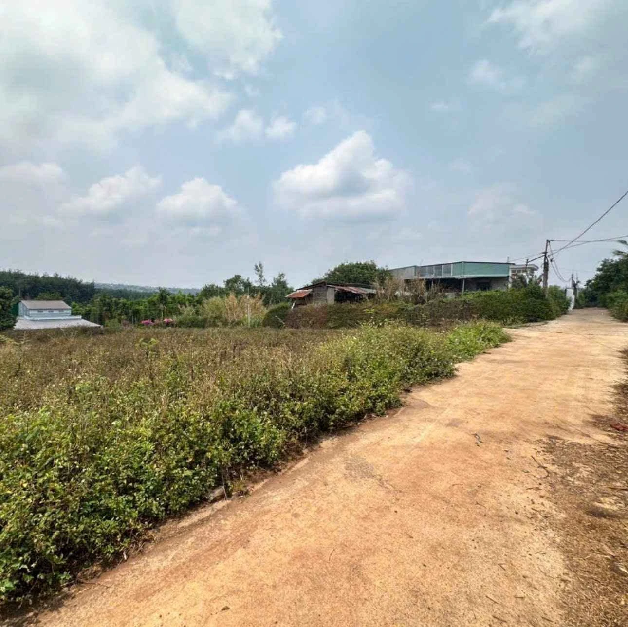 Bán đất 155m² (5x31m) Phường Bình Mỹ Tây, giá 920 triệu - Ảnh 1