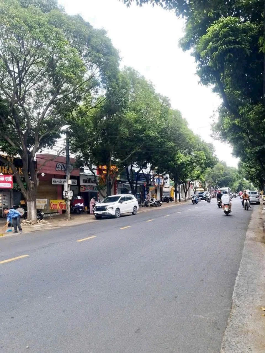 Bán đất mặt tiền Phan Trung Tâm Hiệp 224m2 - Ảnh thu nhỏ 3