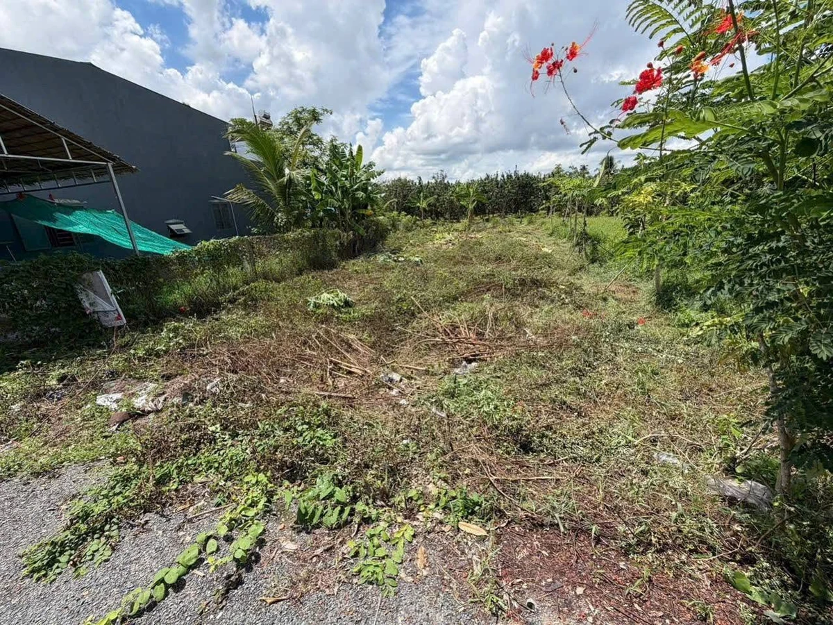 Bán đất nền Mỹ Hòa 138.6m² gần chợ và KCN - Ảnh thu nhỏ 5